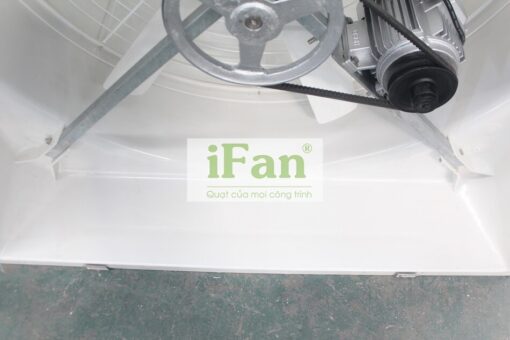 Quạt hút dạng loa IFAN-106C - Ảnh 3