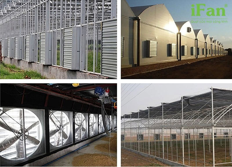 Quạt hút công nghiệp iFan 500x500 được sử dụng rộng rãi trong các nhà xưởng