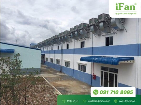 quạt làm mát, quạt hơi nước công nghiệp iFan FAD-30